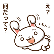 rabbit  and daily life