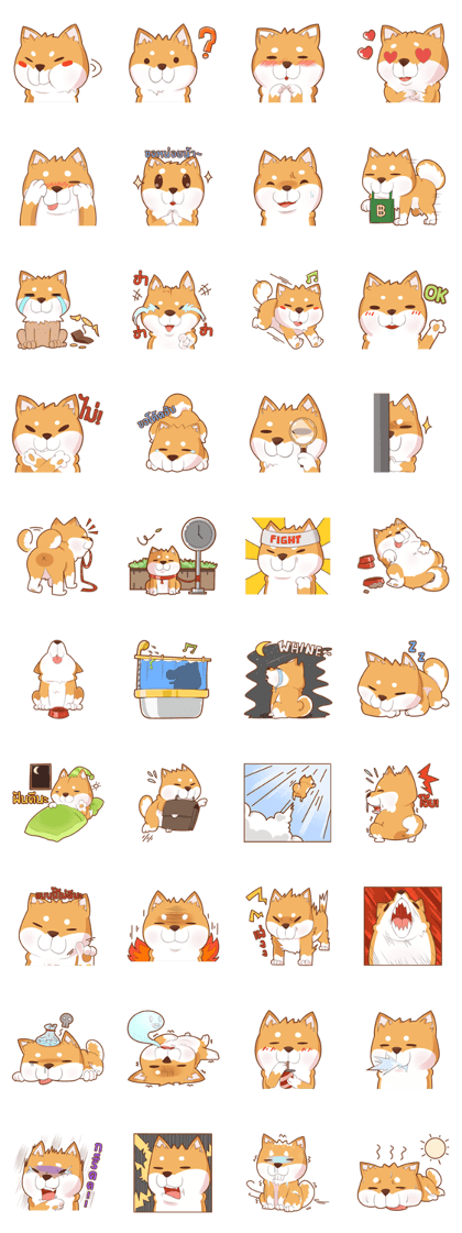 Momo, the Shiba (TH)