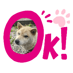 matsu_20200514004408