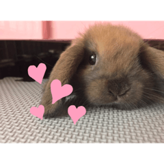 sally_20200514013416