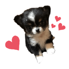 sumire_20200514021702