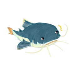 水族館以更加彩色鉛筆畫