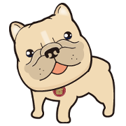 French Bulldog W Smiling
