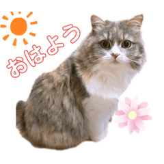 RINGO_20200514024143