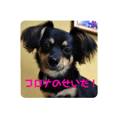 mina_20200514100727