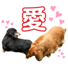 YuKaRi_20200514025847