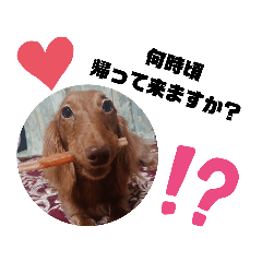 cherry_20200514100058