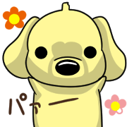 it is bowwow a friend