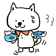 shirt cats