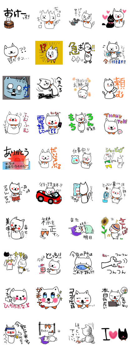 shirt cats