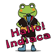 Frog team of fun indiaca!