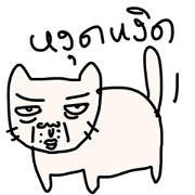 Maew Ngaaw