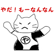 yashbi cat