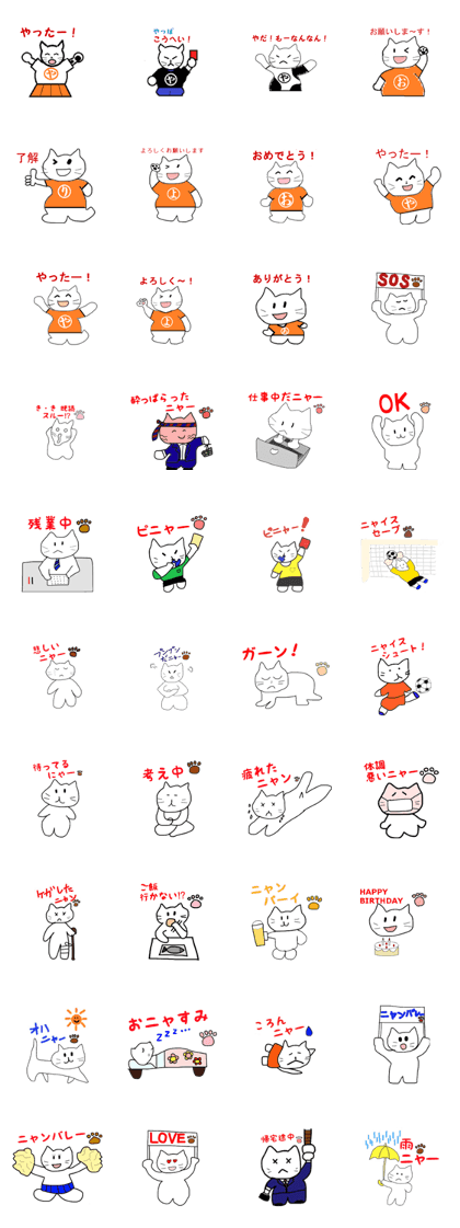 yashbi cat