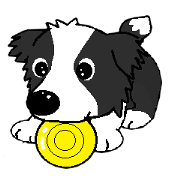 I Love cute  border collie