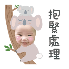 小咪寶貝的動物異想世界