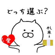 It is a cat of cat tea