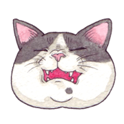 Cat sticker that can be used every day