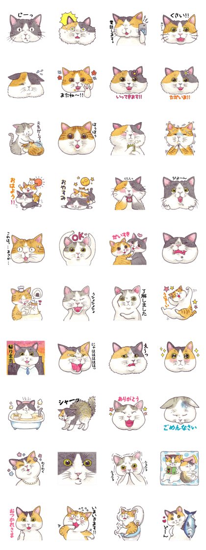 Cat sticker that can be used every day
