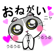 neko neko cats
