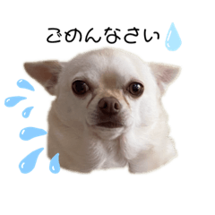 P☆M☆F - LINE スタンプ | LINE STORE P☆M☆F - LINE スタンプ | LINE STORE