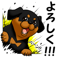 The Rottweilers. Japanese Ver.