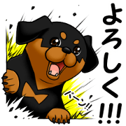 The Rottweilers. Japanese Ver.