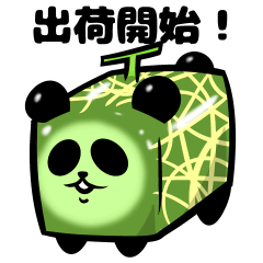 Square melon Panda