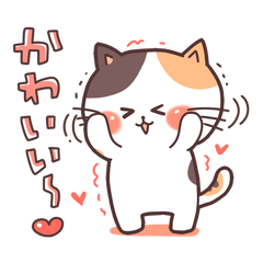 Cute Kitten Daliy sticker