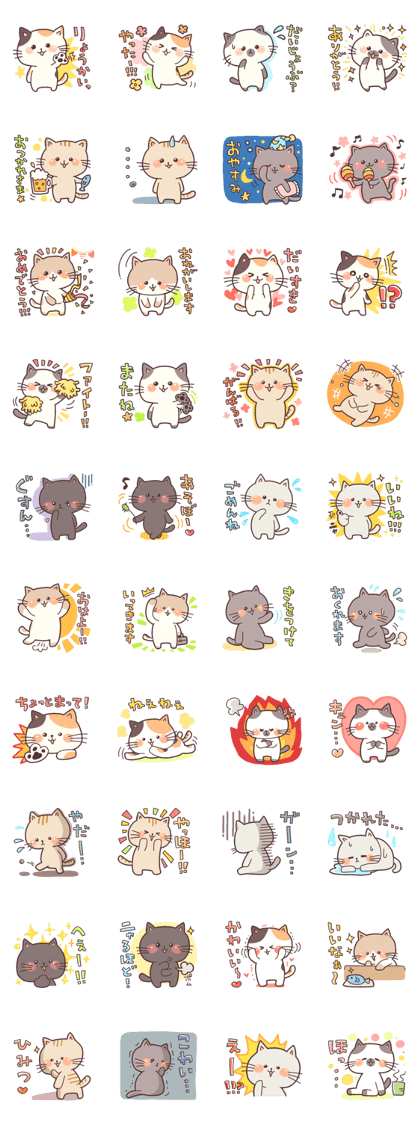 Cute Kitten Daliy sticker