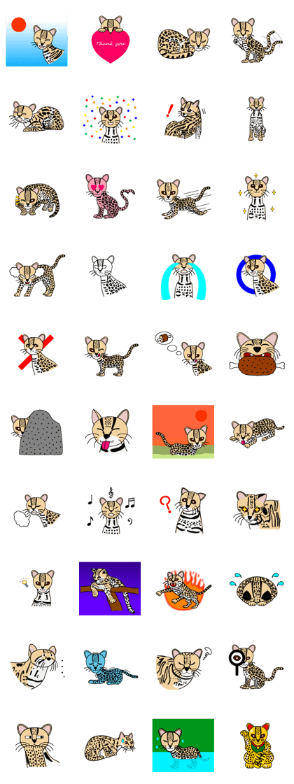 Margay kun