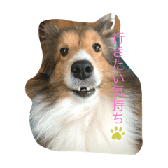RISA_20200514132237