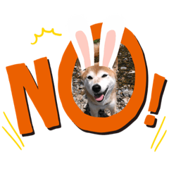 hana_20200514134422