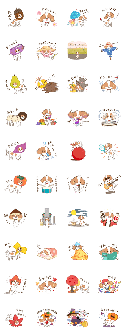 Autumn of Cavalier "Kewpie"