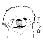 pekingese of the inner