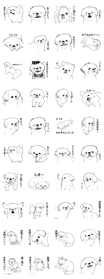 pekingese of the inner