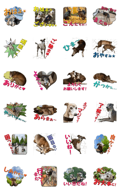 Line クリエイターズスタンプ イタグレ 仲良し会話