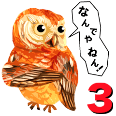 40 Owls_vol.3