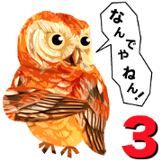 40 Owls_vol.3
