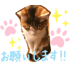 Azukisan stamp 3