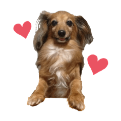 ARISA_20200514140933