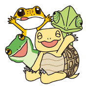 Tortoises, frogs, chameleons, etc.