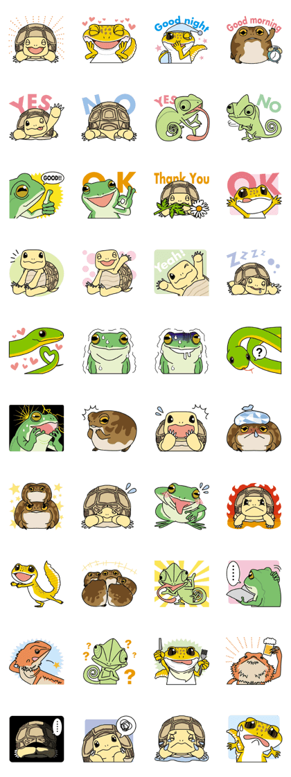Tortoises, frogs, chameleons, etc.