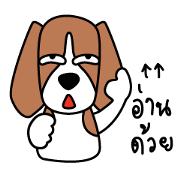 Cooper The Beagle Dog TH