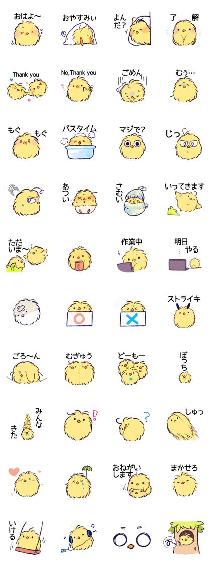 Howahowa chick and together