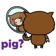 Small boar Aberdeen Day (English)