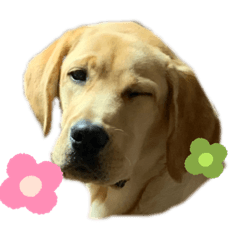 NOZOMI_20200514165447