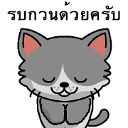 Cat business Thai version