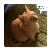 Ki-chan wants to say.