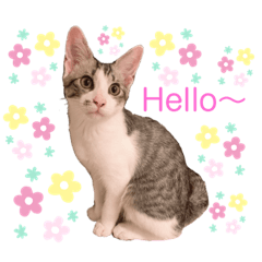 akiko_20200514151427